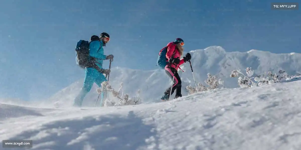 2026世界杯官网入口🌟体育无极限,热爱正当时 —— 加入我们,开启属于你的闪耀之旅!